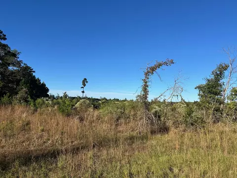 000 Cooper Rd, Marshall, TX 75672 photo 4