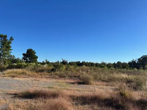 000 Cooper Rd, Marshall, TX 75672 photo 5