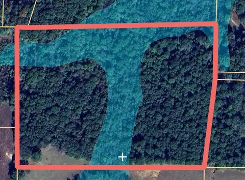 tbd Limetree Rd, Gilmer, TX 75644 photo 2