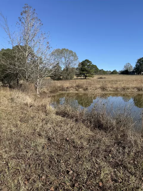 tbd County Rd 2746, Hughes Springs, TX 75656