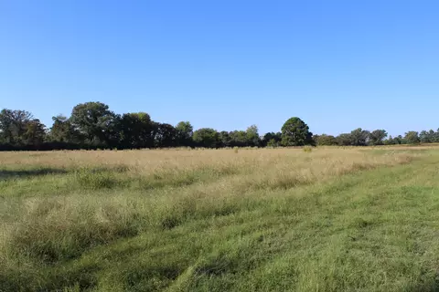 808 Joe Davis, Jefferson, TX 75657