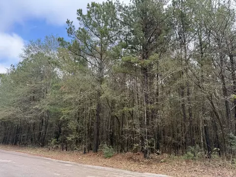 tbd Holiday Harbor Dr, Jefferson, TX 75657