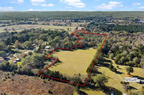 234 County Road 2238, Daingerfield, TX 75638