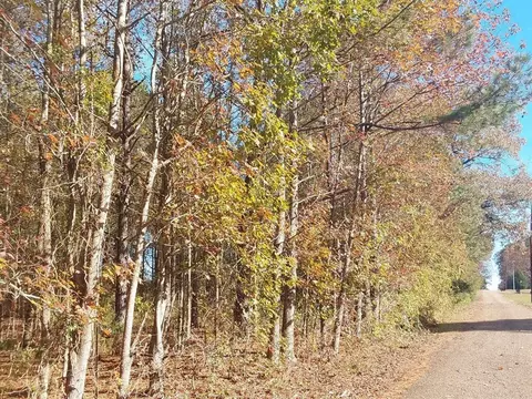 0000 County Road 4560, Mcleod, TX 75565