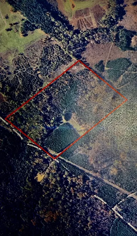 17559 Fm 31, Elysian Fields, TX 75642 photo 2
