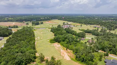 tbd Hogan Ct, Gladewater, TX 75647