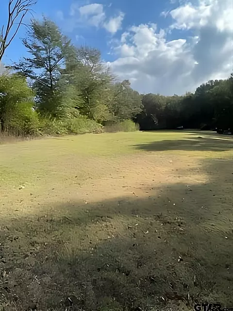 112 N Price St, Troup, TX 75789