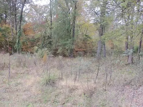 tbd Lake Florey Rd, Kilgore, TX 75662