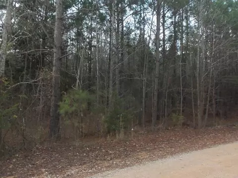 tbd Florey Lake Rd, Kilgore, TX 75662