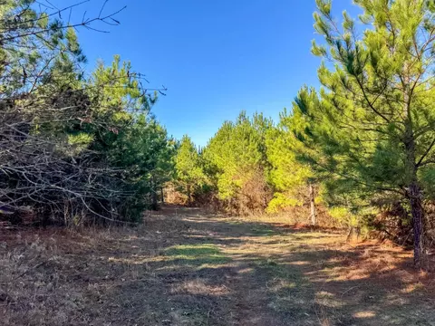 0000 County Road 1637, Linden, TX 75563
