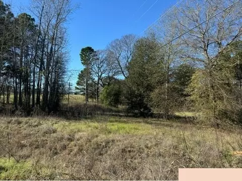 lot1 Berrycreek Cir, Frankston, TX 75763