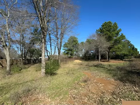 lot7 Berrycreek Cir, Frankston, TX 75763