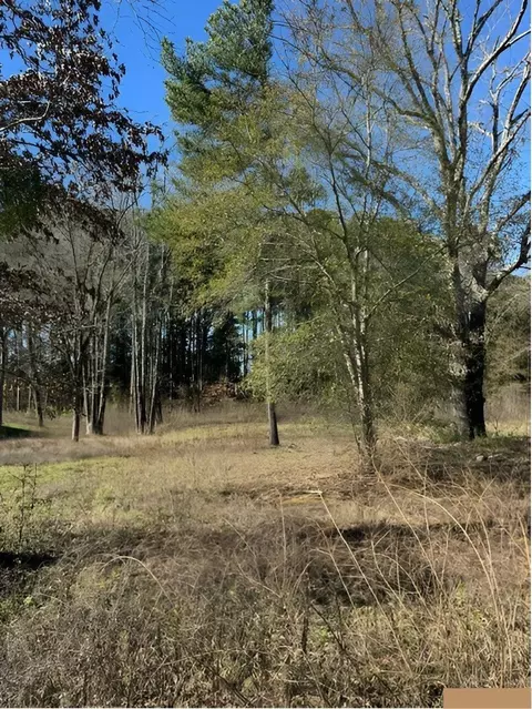 lot3 Berrycreek Cir, Frankston, TX 75763