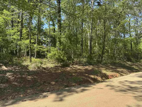 tbd Paradise Ln, Flint, TX 75762