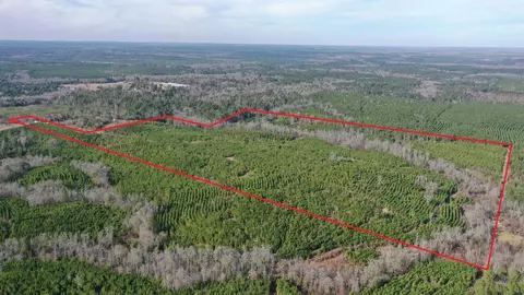 tbd Shady Grove Rd, Jefferson, TX 75657