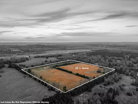 8719 Goat Rd, Gilmer, TX 75644