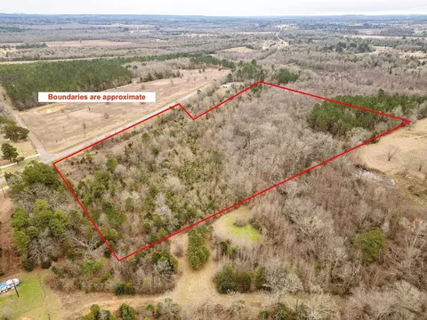 tbd Fm 2454, Gilmer, TX 75644