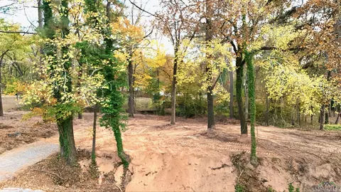 tbd Pliler Precise Rd, Longview, TX 75605 photo 8