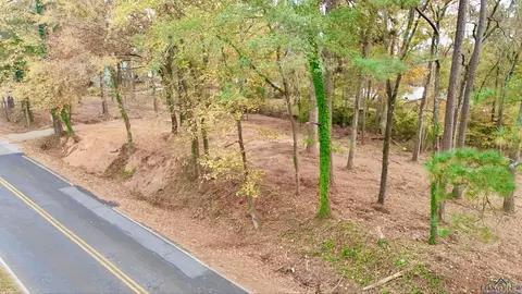 tbd Pliler Precise Rd, Longview, TX 75605 photo 6