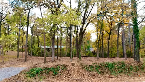 tbd Pliler Precise Rd, Longview, TX 75605 photo 3