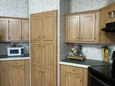160 Daniels, Gary, TX 75643 photo 11