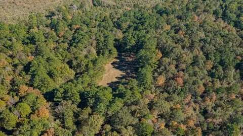 12806 Wood Rd, Diana, TX 75640