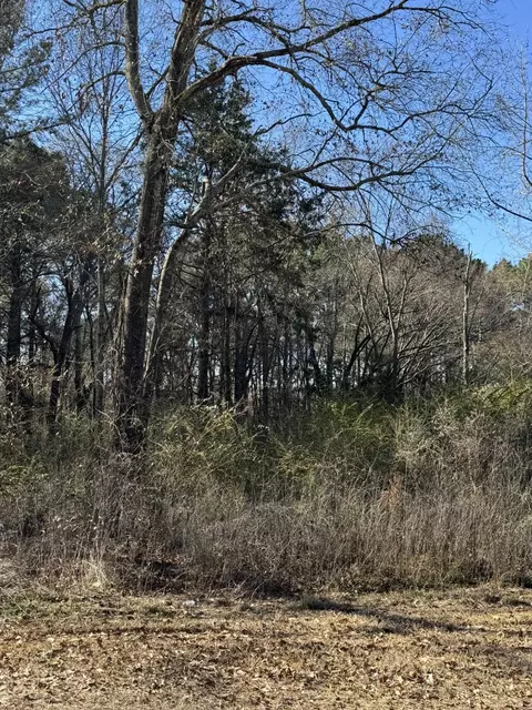 tbd Wildflower Hill Rd, Kilgore, TX 75662
