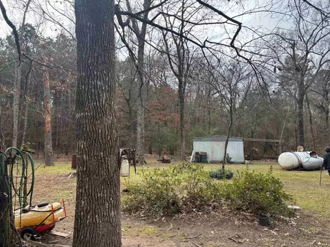 2500 Dorough Rd, Karnack, TX 75661 photo 23