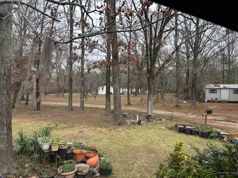 2500 Dorough Rd, Karnack, TX 75661 photo 21