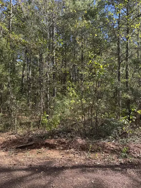 7248 Ginger Rd, Gilmer, TX 75644 photo 2