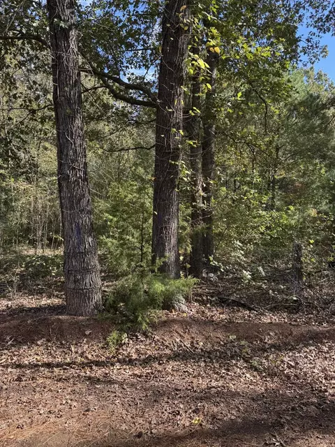 7248 Ginger Rd, Gilmer, TX 75644 photo 3