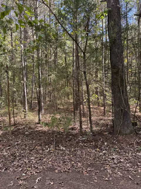 7248 Ginger Rd, Gilmer, TX 75644