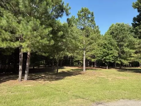 208 Pack Saddle Rdg, Holly Lake Ranch, TX 75765