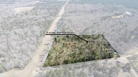 694 Francis Ln, Diana, TX 75640