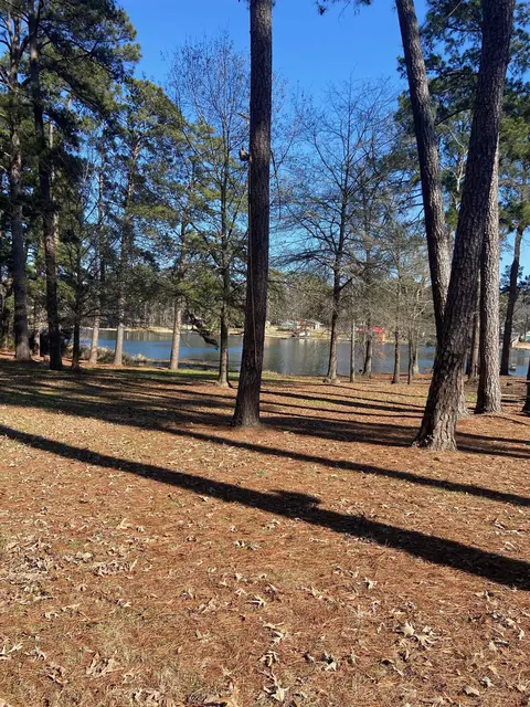 148 Cr 2244 Webb Rd, Daingerfield, TX 75638