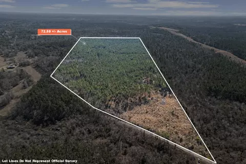 tbd Nasturtium Rd, Ore City, TX 75683