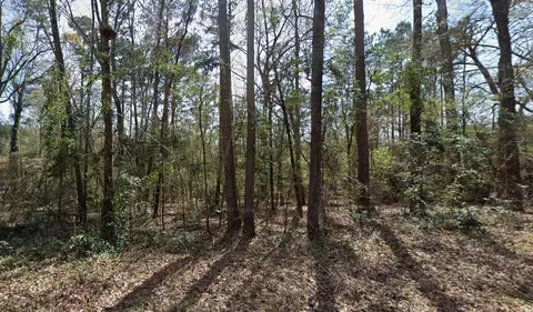 tbd Ashwood Dr Apt #LOT 204, Gilmer, TX 75645