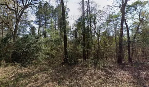 tbd Ashwood Dr Apt #LOT 205, Gilmer, TX 75645