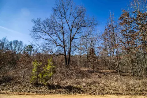 tbd Green Forest Ln, Texarkana, TX 75501
