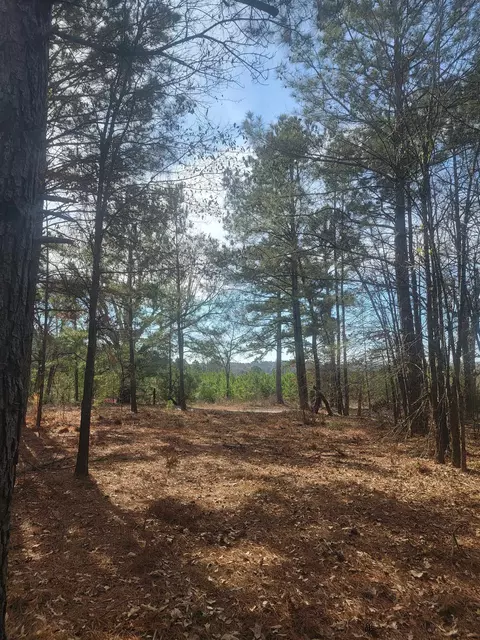 tbd Brandy Dr, Diana, TX 75640