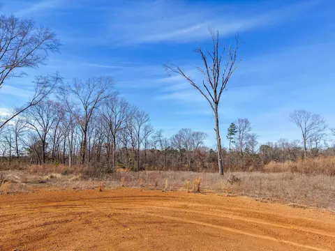 lot Apt 5 Tbd Private Road 1109, Diana, TX 75640