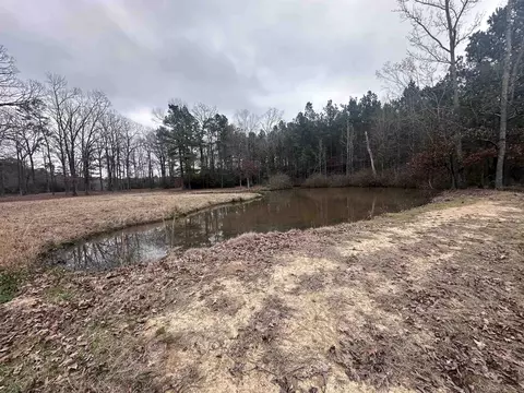 tbd County Road 2385, Shelbyville, TX 75973