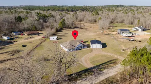 View/Area - 1557 Driskell Bridge Rd, Harleton, TX 75651 photo 3 of 4