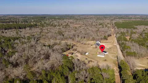 View/Area - 1557 Driskell Bridge Rd, Harleton, TX 75651 photo 2 of 4