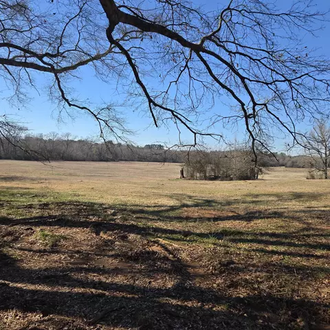 tbd C R 1106, Flint, TX 75762