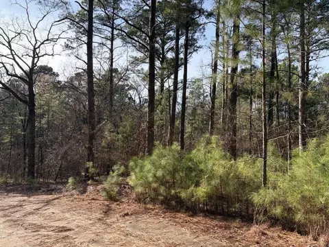 lot S 144 145 Silver Oaks Dr, Flint, TX 75762