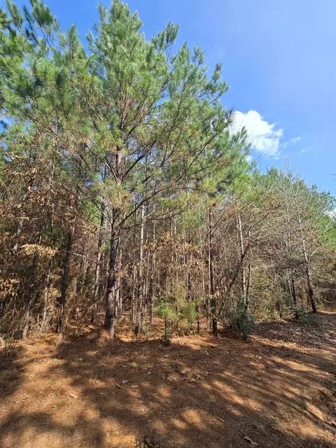 tbd County Road 272, Henderson, TX 75654