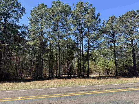 tbd Fm 3231, Tatum, TX 75691