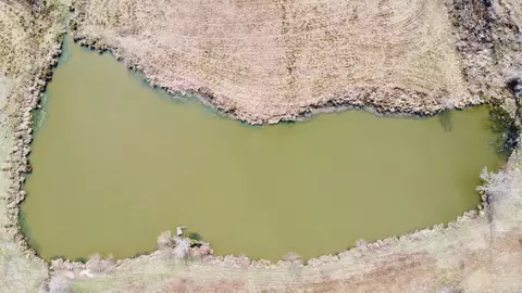 tbd Cr 1460-2, Linden, TX 75563