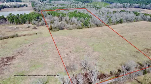 tbd Cr 1460-3, Linden, TX 75563